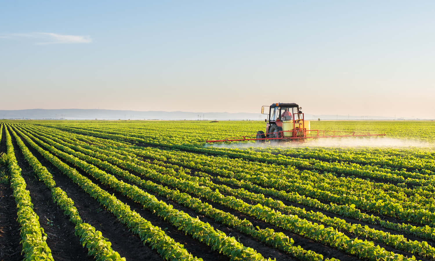 Agriculture Agriculture