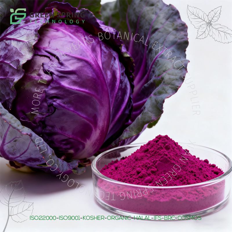 Repolho Roxo em Pó