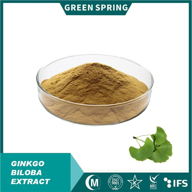 Premium Ginkgo Biloba Extract Powder|24% de glicosídeos de flavona e 6% de lactonas terpeno|Suporte cognitivo natural a suplementos e alimentos funcionais